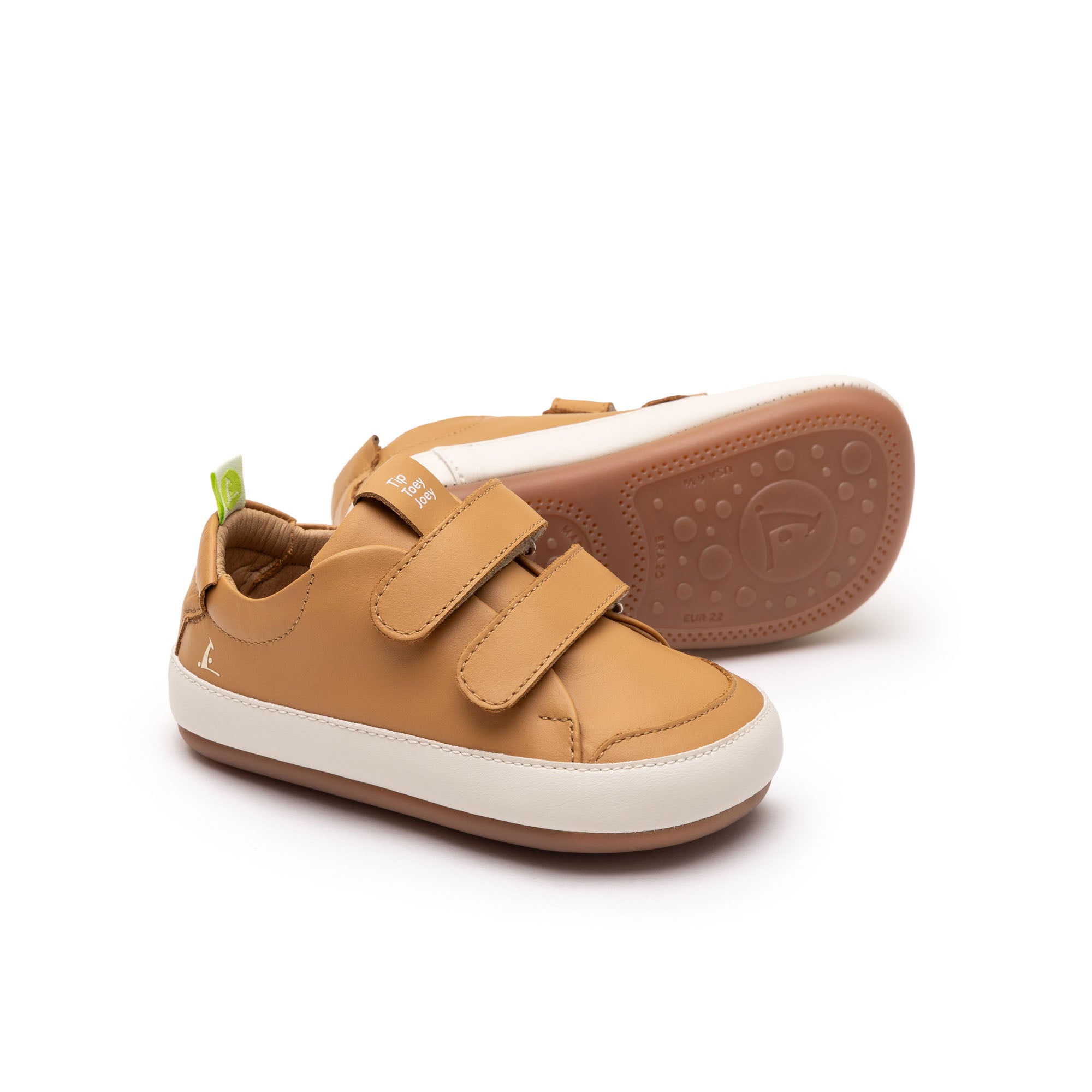 Champion Barefoot Bossy Marron