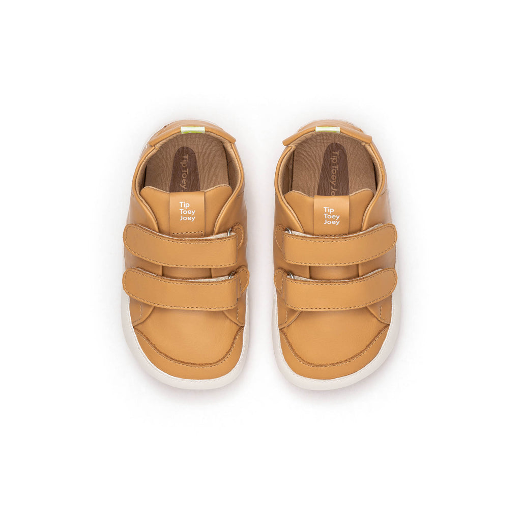 Champion Barefoot Bossy Marron