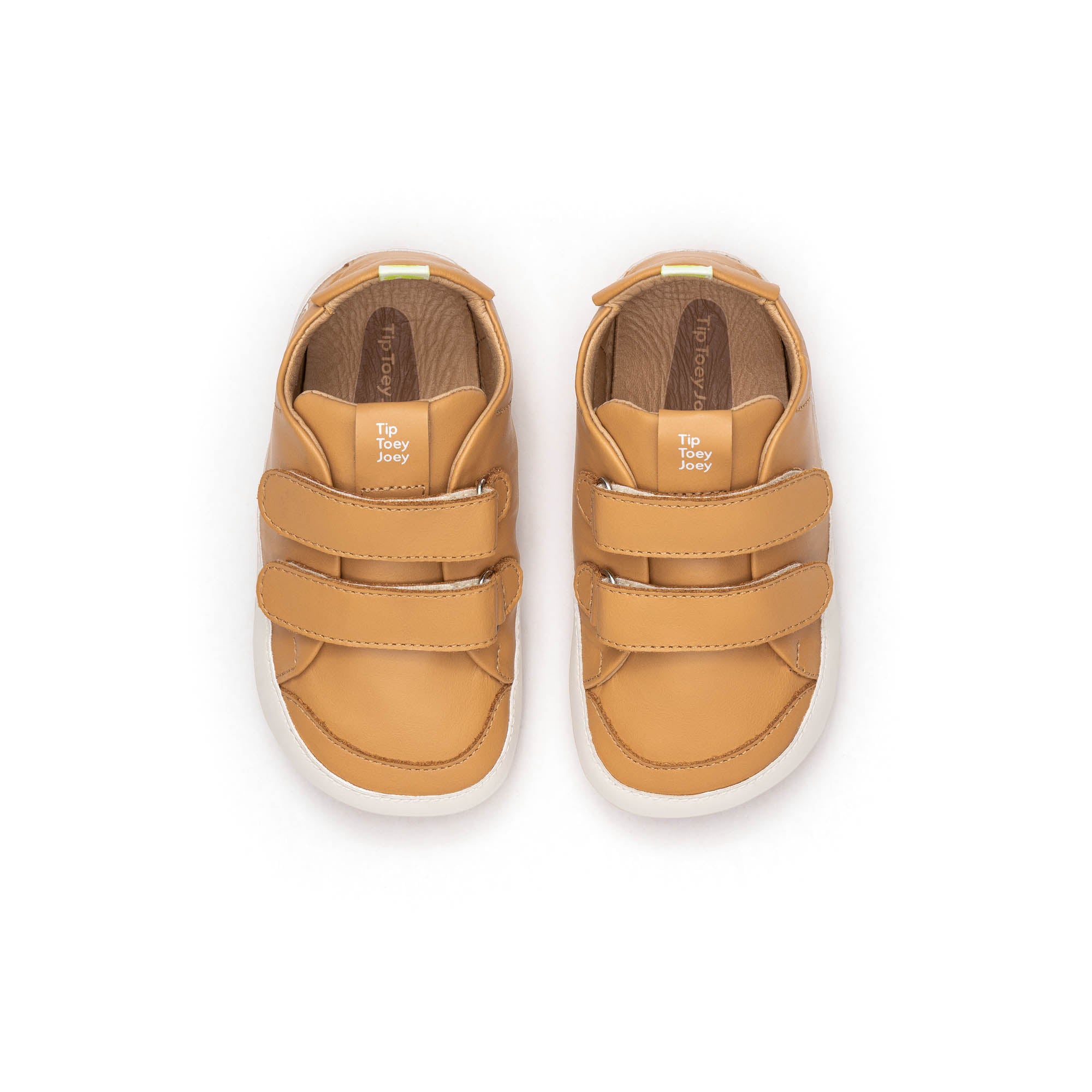 Champion Barefoot Bossy Marron