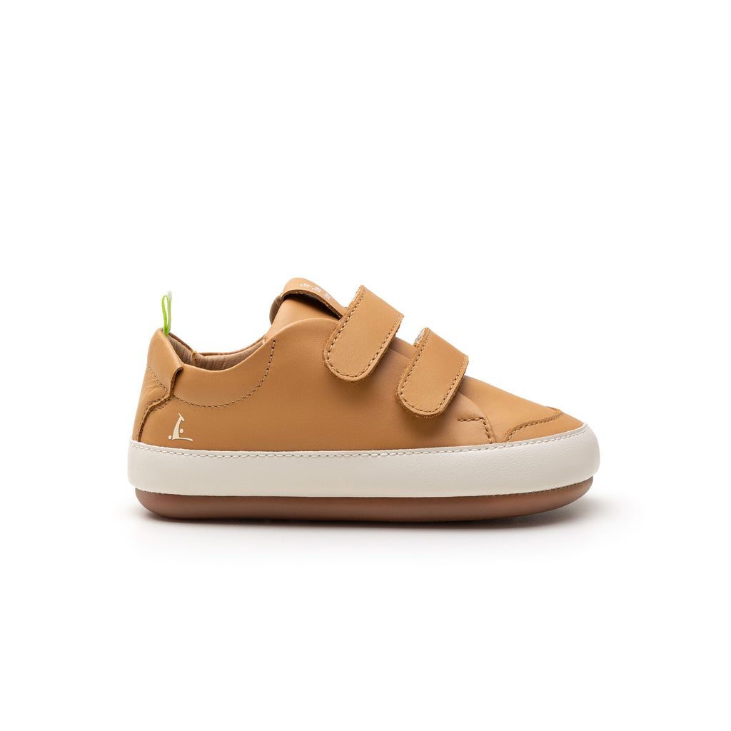 Champion Barefoot Bossy Marron