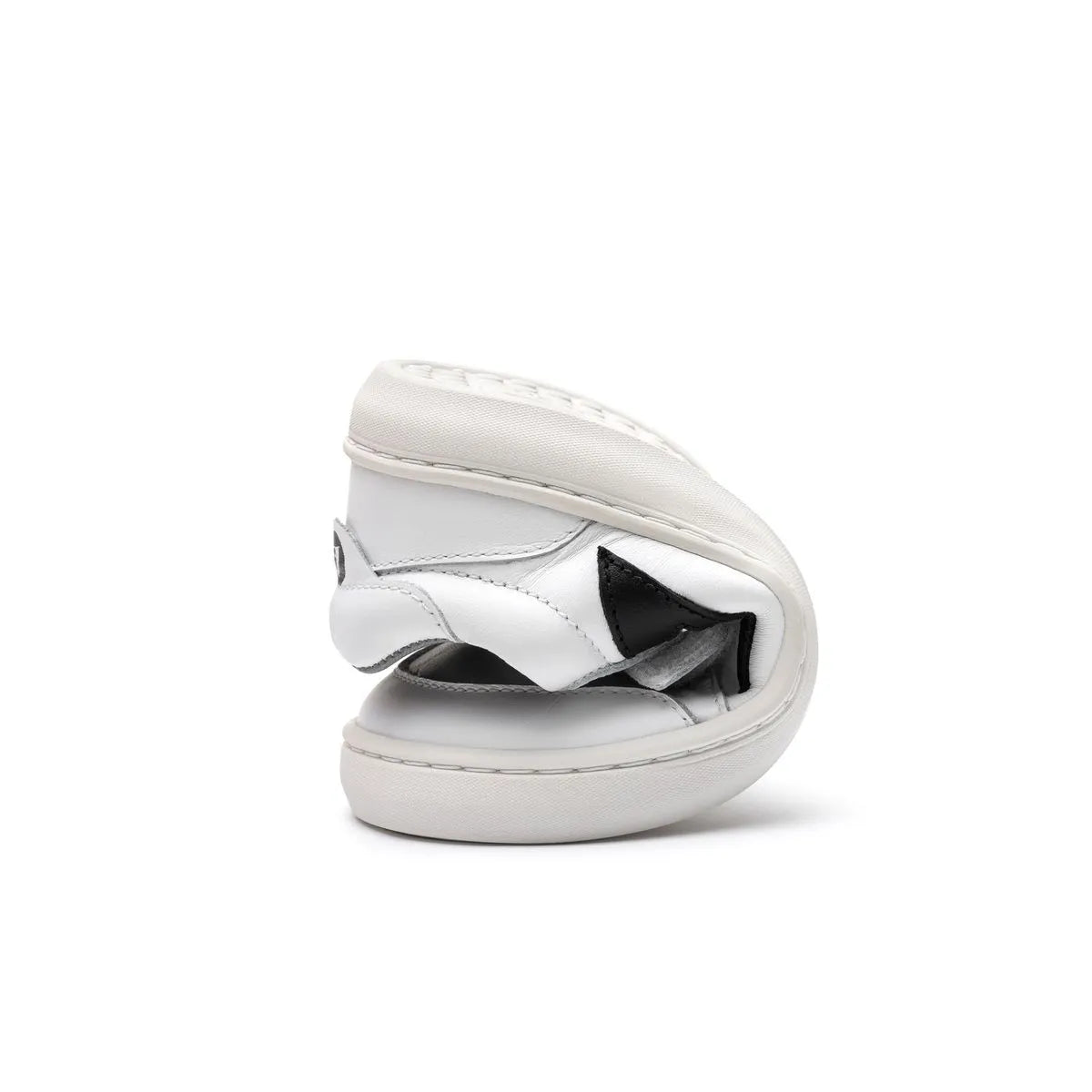 Landy White-Black