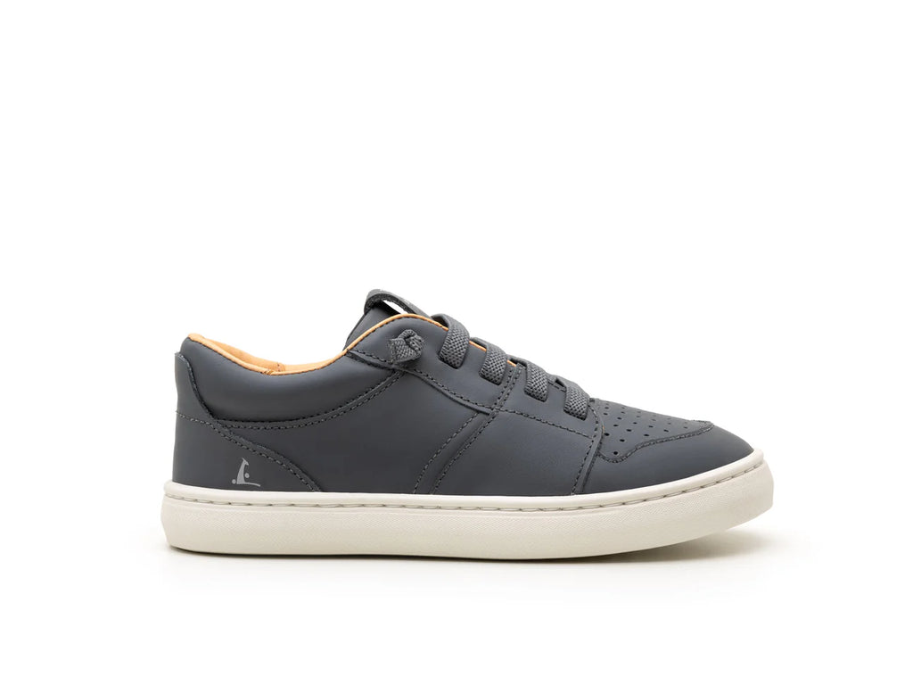 Champion Barefoot Ollie Slate Azul