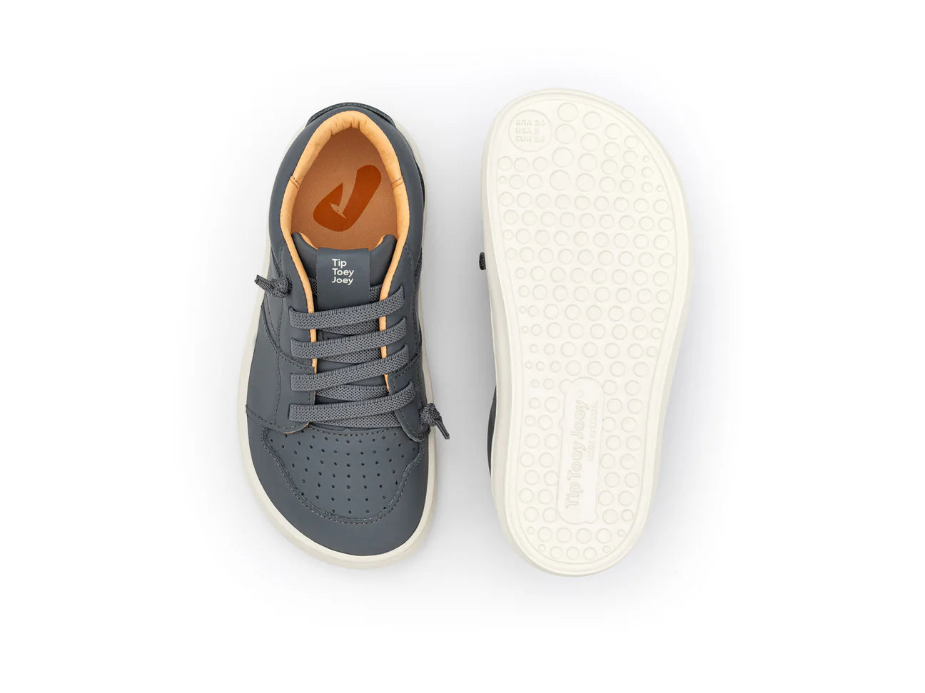 Champion Barefoot Ollie Slate Azul